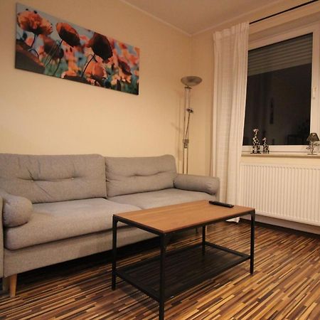 Apartament Podgorna 12 Stary Toruń Kültér fotó